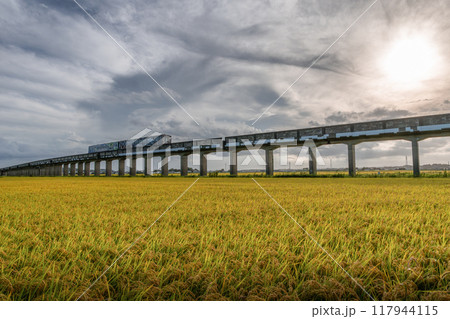 金色の野を往く大洗鹿島線 117944115