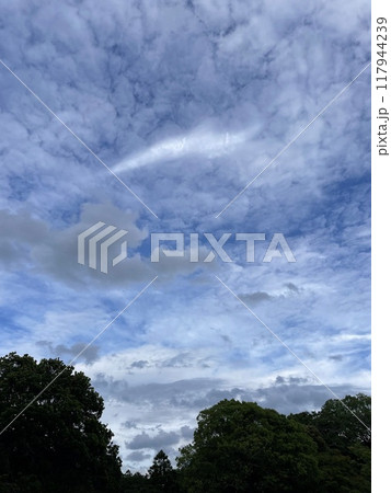 雲 雲 117944239
