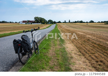Golden wheat fields and trekking bike with paniers in Fakse Ladeplads, Seeland, Denmark Golden wheat fields and trekking bike with paniers in Fakse Ladeplads, Seeland, Denmark 117944589