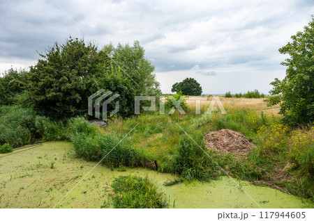 Green landscape with water ponds around Koge, Denmark Green landscape with water ponds around Koge, Denmark 117944605