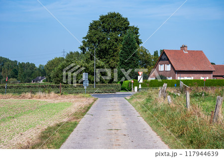 Road through agriculture fields and farmhouse in Ternat, Belgium 117944639