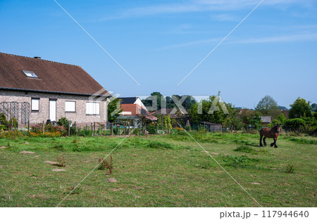 Green meadows and trees in the Pajottenland hills, Flemish Brabant 117944640