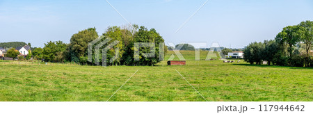 Green meadows and trees in the Pajottenland hills, Flemish Brabant 117944642