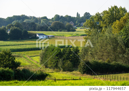 Green hills and trees at the Flemish countryside in Asse, Flemish Brabant, Belgium Green hills and trees at the Flemish countryside in Asse, Flemish Brabant, Belgium 117944657