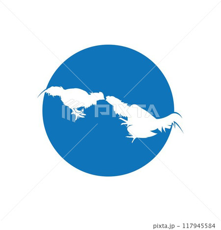 fighting cocks logo vector template fighting cocks logo vector template 117945584