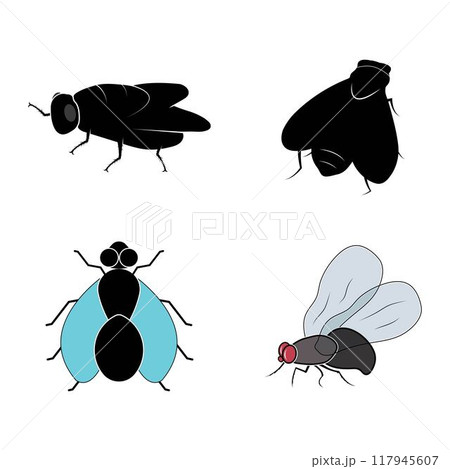 flies icon vector illustration template 117945607