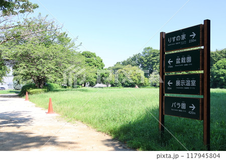 さいたま市見沼グリーンセンターの風景 117945804