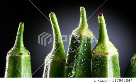 瑞々しい生野菜 117945844