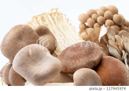 きのこの盛り合わせのクローズアップ 117945974