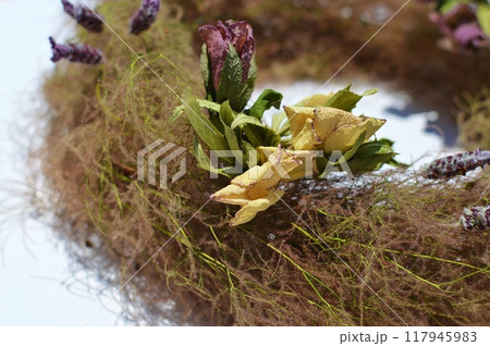 スモークツリーとクリスマスローズのドライフラワーのリース スモークツリーとクリスマスローズのドライフラワーのリース 117945983