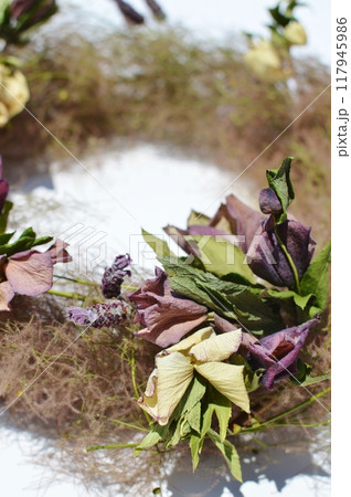 スモークツリーとクリスマスローズのドライフラワーのリース スモークツリーとクリスマスローズのドライフラワーのリース 117945986