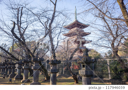 【日本】東京都の上野公園にある栄誉権現社の石の灯籠と枯れた街路樹越しに望む五重塔 【日本】東京都の上野公園にある栄誉権現社の石の灯籠と枯れた街路樹越しに望む五重塔 117946039