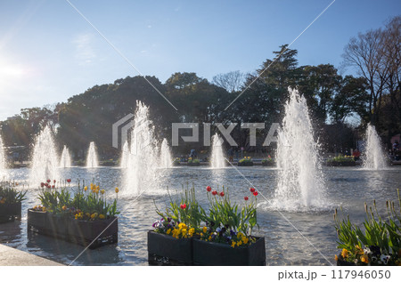 【日本】東京都の上野恩賜公園の池から勢いよく吹き出す大噴水 【日本】東京都の上野恩賜公園の池から勢いよく吹き出す大噴水 117946050