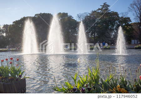 【日本】東京都の上野恩賜公園の池から勢いよく吹き出す大噴水 117946052