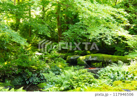 瑠璃光院 臥龍の庭 瑠璃光院 臥龍の庭 117946506