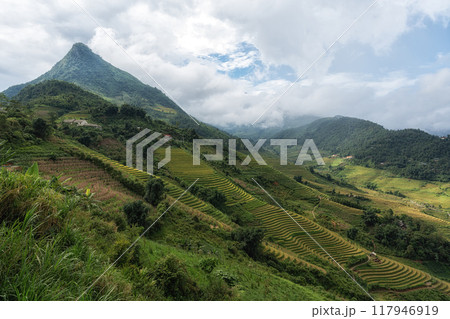 Rice Terrace View in Sapa Rice Terrace View in Sapa 117946919