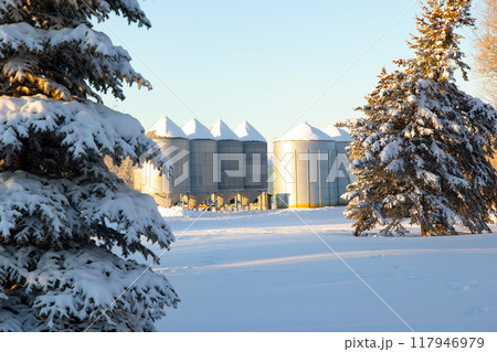 Winter view from the wood to the row of grain bins in the agricultural farm, branches covered in snow. Winter view from the wood to the row of grain bins in the agricultural farm, branches covered in snow. 117946979