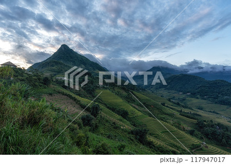 Rice Terrace Sunset View in Sapa 117947017