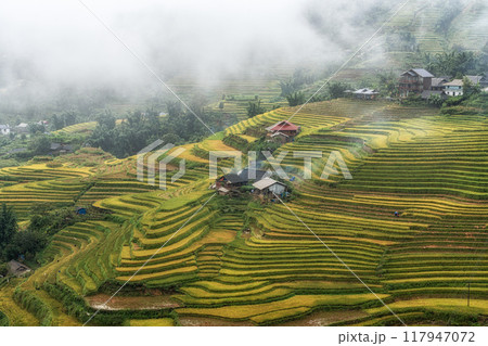 Farm house in Sapa Rice Terrace 117947072