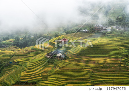 Farm house in Sapa Rice Terrace Farm house in Sapa Rice Terrace 117947076