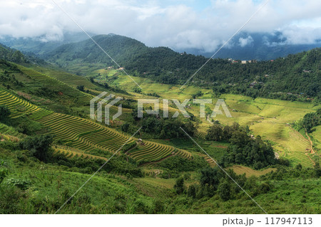 Rice Terrace View in Sapa Rice Terrace View in Sapa 117947113