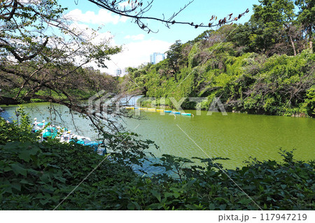 旧江戸城(皇居)の千鳥ヶ淵【東京都千代田区】 旧江戸城(皇居)の千鳥ヶ淵【東京都千代田区】 117947219