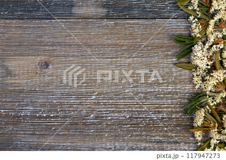 Brown wooden table with dry Labrador tea border. 117947273