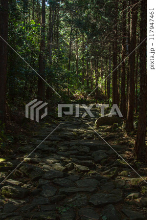 世界遺産熊野古道 世界遺産熊野古道 117947461