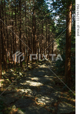 世界遺産熊野古道 世界遺産熊野古道 117947462