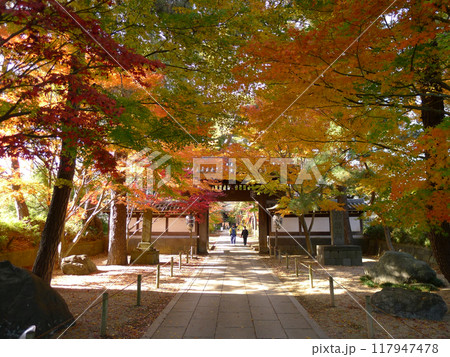 東漸寺 (千葉県松戸市) 東漸寺 (千葉県松戸市) 117947478