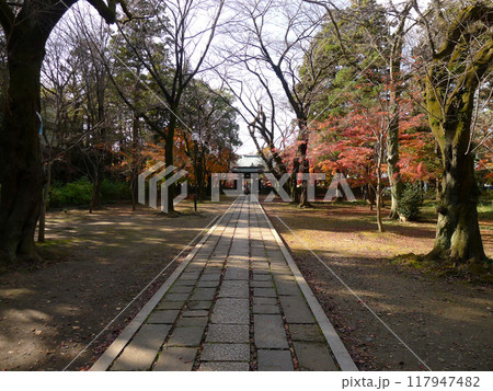 東漸寺　　　（千葉県松戸市） 117947482