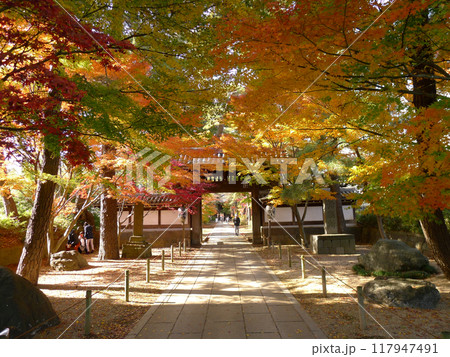 東漸寺 (千葉県松戸市) 東漸寺 (千葉県松戸市) 117947491