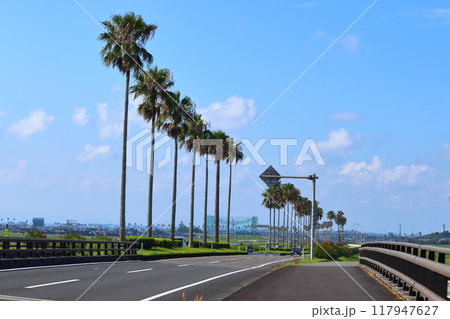 椰子の木が並ぶ南国の国道220号線バイパス道路(宮崎県宮崎市) 椰子の木が並ぶ南国の国道220号線バイパス道路(宮崎県宮崎市) 117947627