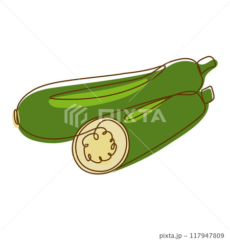 Healthy Green Food Ingredient Zucchini Cucumber Vegetable in Line Art Design Healthy Green Food Ingredient Zucchini Cucumber Vegetable in Line Art Design 117947809