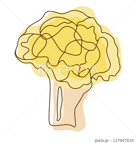 Healthy Food Ingredient White Cabbage Vegetable in Line Art Design Healthy Food Ingredient White Cabbage Vegetable in Line Art Design 117947810