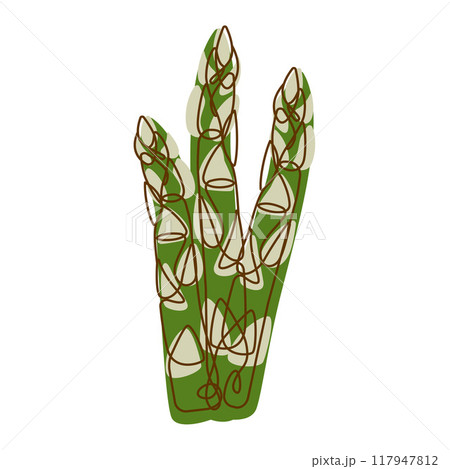 Healthy Green Food Ingredient Asparagus Vegetable in Line Art Design Healthy Green Food Ingredient Asparagus Vegetable in Line Art Design 117947812