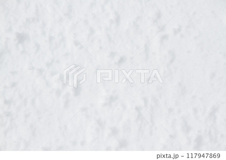 雪 雪 117947869