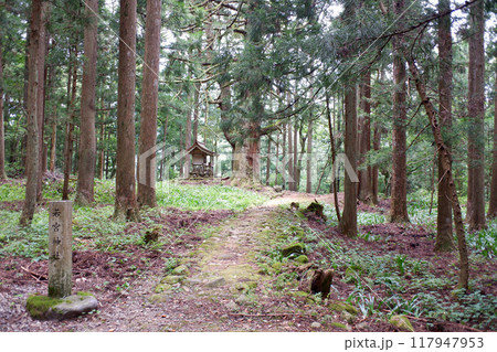 福井県　平泉寺白山神社近く・若宮神社 117947953