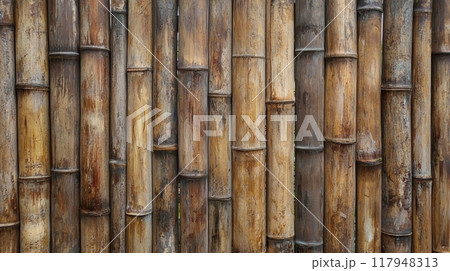 Yellow bamboo texture. Dried bamboo wall or fence background 117948313