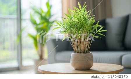 Composition with bamboo in glass bowl on wooden table Composition with bamboo in glass bowl on wooden table 117948379