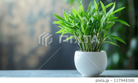 Composition with bamboo in glass bowl on wooden table Composition with bamboo in glass bowl on wooden table 117948380