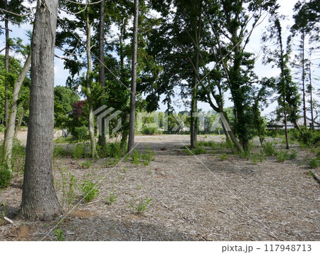 古屋城址　　（千葉県四街道市） 117948713