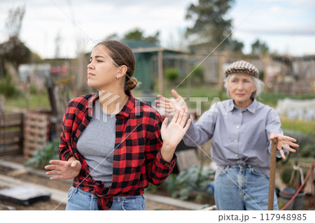 Farm neighbors quarrel over farm backyard in day Farm neighbors quarrel over farm backyard in day 117948985