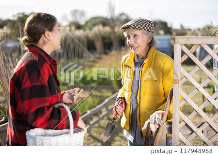 Two female gardeners talking near wooden fence in garden 117948988