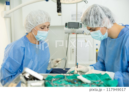 Female veterinarian with assistant conducting surgical procedure in veterinary clinic 117949017