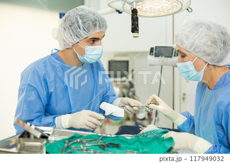 Young veterinarian assisting senior female colleague during surgery at veterinary clinic 117949032