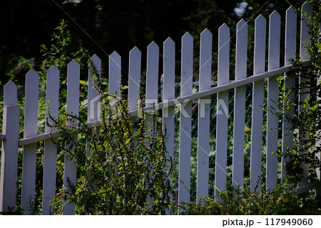 Fence on a slope number two Fence on a slope number two 117949060