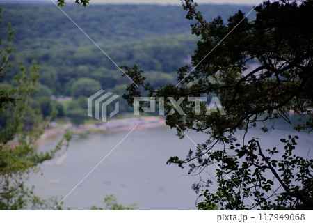 Lake Background with pine in the foreground 117949068