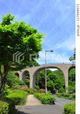 神奈川県立七沢森林公園　森のかけはしと新緑 117949071