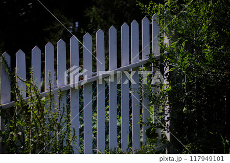 Fence on a slope with plants 117949101